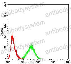 Anti-AKT1 Antibody (R3J17)