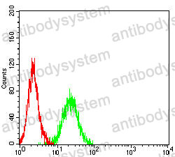 Anti-UQCRC1/Core protein I Antibody (R3J24)