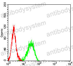 Anti-UQCRC1/Core protein I Antibody (R3J23)