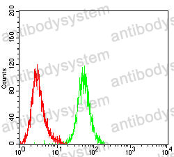 Anti-CD32b/FCGR2B Antibody (R3J29)