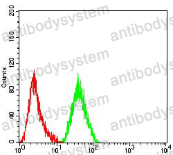 Anti-CD171/L1CAM Antibody (R3J30)