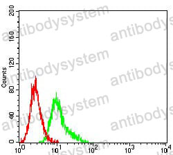 Anti-CD191/CCR1 Antibody (R3J34)