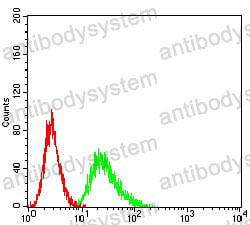 Anti-CD191/CCR1 Antibody (R3J33)