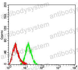 Anti-CD197/CCR7 Antibody (R3J35)