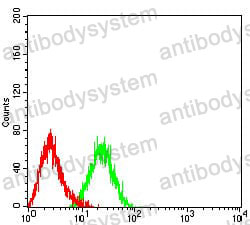 Anti-CD197/CCR7 Antibody (R3J36)