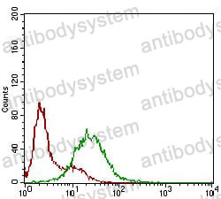 Anti-SSTR3 Antibody (R3J39)