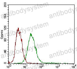 Anti-DSG3 Antibody (R3J42)