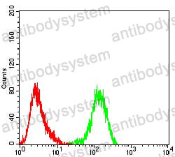 Anti-CD131/CSF2RB Antibody (R3J45)