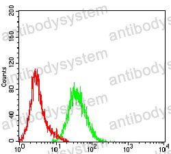 Anti-CD131/CSF2RB Antibody (R3J44)