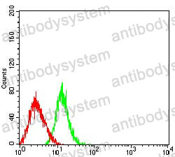Anti-CD50/ICAM3 Antibody (R3J46)