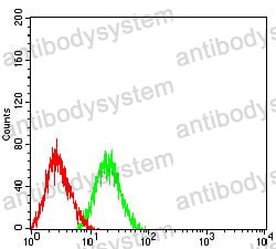 Anti-CD50/ICAM3 Antibody (R3J47)