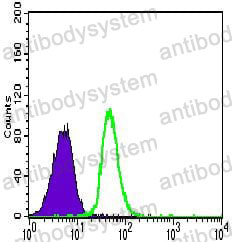 Anti-CD144/CDH5/VE-cadherin Antibody (R3J49)