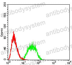 Anti-CD80/B7-1 Antibody (R3J52)
