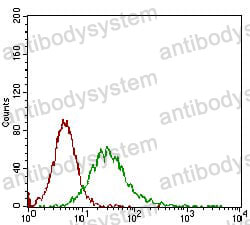 Anti-CD68 Antibody (R3J54)