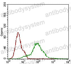 Anti-CD68 Antibody (R3J55)