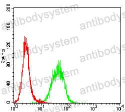 Anti-HSPA4/HSP70 Antibody (R3J63)