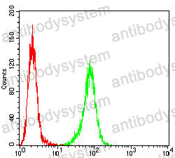 Anti-HSPA4/HSP70 Antibody (R3J60)