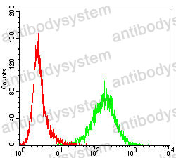Anti-HSPA4/HSP70 Antibody (R3J61)