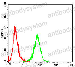 Anti-HSPA4/HSP70 Antibody (R3J62)