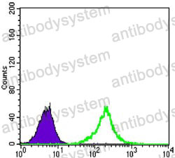 Anti-CTNNB1 Antibody (R3J65)