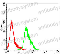 Anti-CTNNB1 Antibody (R3J68)