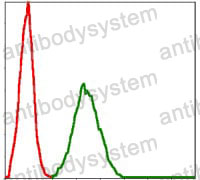 Anti-BMI1 Antibody (R3J71)