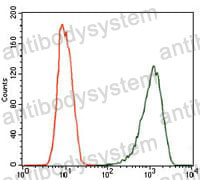 Anti-NOS2/iNOS Antibody (R3J72)