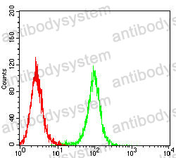 Anti-PTGS2 Antibody (R3J75)