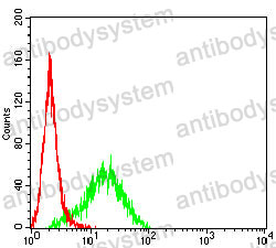 Anti-KRT9 Antibody (R3J76)