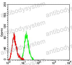 Anti-CD147/BSG Antibody (R3J84)