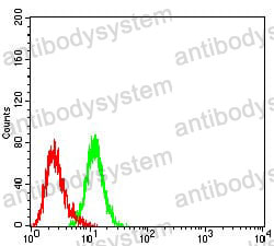 Anti-CD147/BSG Antibody (R3J85)