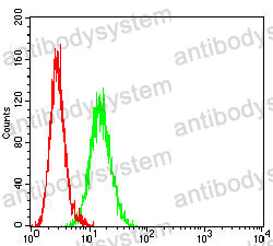 Anti-CD147/BSG Antibody (R3J86)