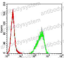 Anti-CD147/BSG Antibody (R3J87)