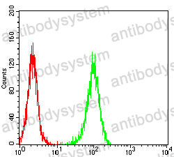 Anti-CD147/BSG Antibody (R3J88)