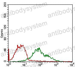 Anti-CHOP/GADD153/DDIT3 Antibody (R3J89)