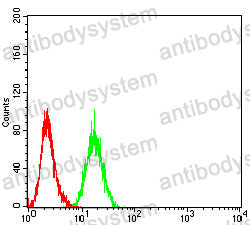 Anti-HNF1B Antibody (R3J92)