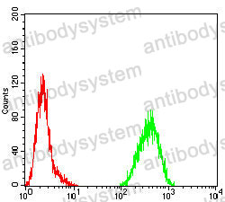 Anti-SOX11 Antibody (R3J93)