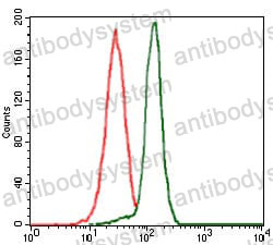 Anti-PPM1A Antibody (R3F58)