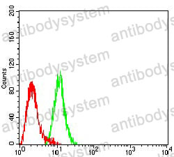 Anti-CD309/KDR/VEGFR-2 Antibody (R3K01)