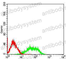 Anti-TCF7 Antibody (R3K03)