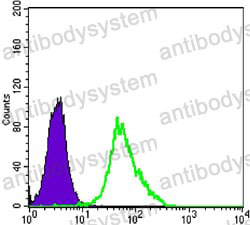 Anti-MAP2K2 Antibody (R3K04)