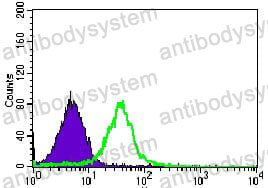 Anti-CD292/BMPR1A Antibody (R3K08)