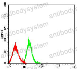Anti-LTBR Antibody (R3K09)
