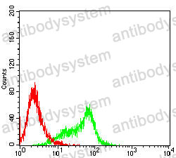 Anti-HSPA9/Mortalin/GRP75 Antibody (R3K15)
