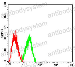 Anti-HSPA9/Mortalin/GRP75 Antibody (R3K16)