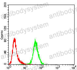 Anti-HSPA9/Mortalin/GRP75 Antibody (R3K17)