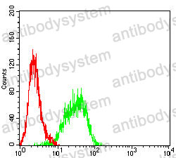 Anti-CDKN1A Antibody (R3K18)