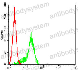 Anti-CDKN1A Antibody (R3K19)