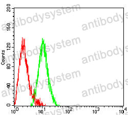 Anti-CD66d/CEACAM3 Antibody (R3K26)