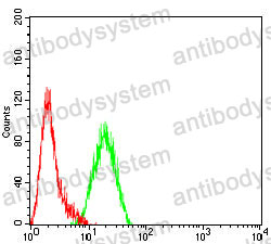 Anti-CD66d/CEACAM3 Antibody (R3K25)